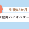 育児日記　生後8.5か月　家庭内バイオハザード