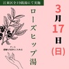 【江東区の銭湯】ローズヒップ湯を2024年3月17日に実施へ 金春湯•ニュー松の湯(木場/東陽町)でも