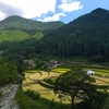 大宜都比売命の御馬石（神山町 神領）