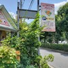 【入間市ランチ】欧風料理という響きがいいな「ポティロン」で夏の昼下がりフレンチを♪・・・のお話。