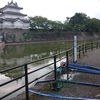 外来生物駆除だってさ～～流行りもんかい？