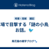 駐車場で目撃する「謎の小鳥」のお話。🐦️