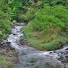 碓氷川