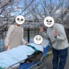 看取り期のおばあ。桜の下へ。