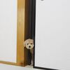 ニゴくん入れない