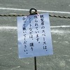 明日の運動会よろしくお願いします。