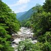 祖谷のかずら橋