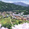 『神楽し編 其の四 考察』桜