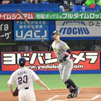 accessmaniaの大チェッカー
