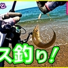 【エサ釣り】🐟ちょい投げでキスを狙う❗in三河湾【釣行日2023/7/18(火) 】