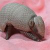 米の動物園でアルマジロの赤ちゃんが誕生、公開された動画が超かわいい