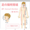 アウターマッスルとは胃経絡だ。