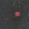 はくちょう座IC5146 まゆ星雲