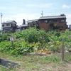 市民農園の野菜づくりに挑戦する市民を募集