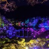 【一歩一景、光の森】チームラボ「栗林公園 光の祭」