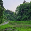 田舎の風景。