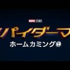 来夏、ついに新スパイダーマンがアベンジャーズ（アイアンマン）と共に戦う！これは楽しみ😁👍🎵 #スパイダーマン #アイアンマン #マーベル