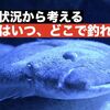 【ヒラメの生態から考える】いつ、どこで釣れるのか