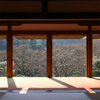 高山寺石水院（京都）〜初冬の「華・麗」・・・そして日本茶