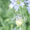 6月22日。