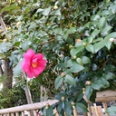 アラ還女子の日々つれづれ