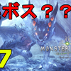 【PS4/MHW】ソロでいく、モンスターハンターワールド 全クリ目指して、初見で一気に攻略完了！無事に全クリしました！裏ボス???も討伐完了！【狩りゲー/アクション】