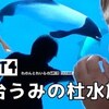 8月4日の動画