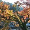 日曜日はスーパーカブ110で香嵐渓の紅葉へ(18/11/11)