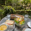 今年の桜🌸花吹雪のランチ