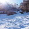 残雪期の石鎚山登山ハイライト