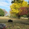 チェアリング スポット『武蔵国分寺公園』東京