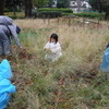 枯れ草ばかりの公園