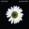  The Black Dog / Black Daisy Wheel