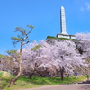 山梨観桜旅行（４）：甲府城跡の桜と長禅寺と。