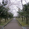 まぁ、色々と