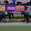 愛馬レッドレイヴン号