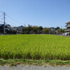 ふくちゃんラーメン