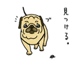 昆虫観察会