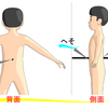 気功の修練の基本は、命門の操作から！！