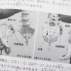 『羽鳥慎一モーニングショー 聞きトリ』で紹介されていた上達屋・手塚一志コーチの骨盤トレーニング☆…『ジュニア世代の骨盤力―野球のバッティング』を読む☆