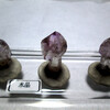 紫松茸水晶　Amethyst(Cepter Quartz) 山梨県甲府市