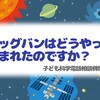 ビッグバンはどうやって生まれた？ -子ども科学電話相談質問解説