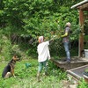 6月の晴れ間に……