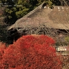 偕楽園公園の紅葉・・