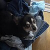 まろにー3560日目