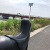 今週末のアクティヴィティ 8/9（日）宝珠花橋まで江戸川108km