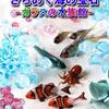 ［特別展］★きらめく海の宝石　ガラスの水族館展