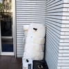 粗大ゴミ
