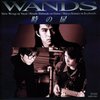 【アルバム感想】『時の扉』　WANDS