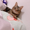 色々な顔のニナちゃんが見られるよ😉💓